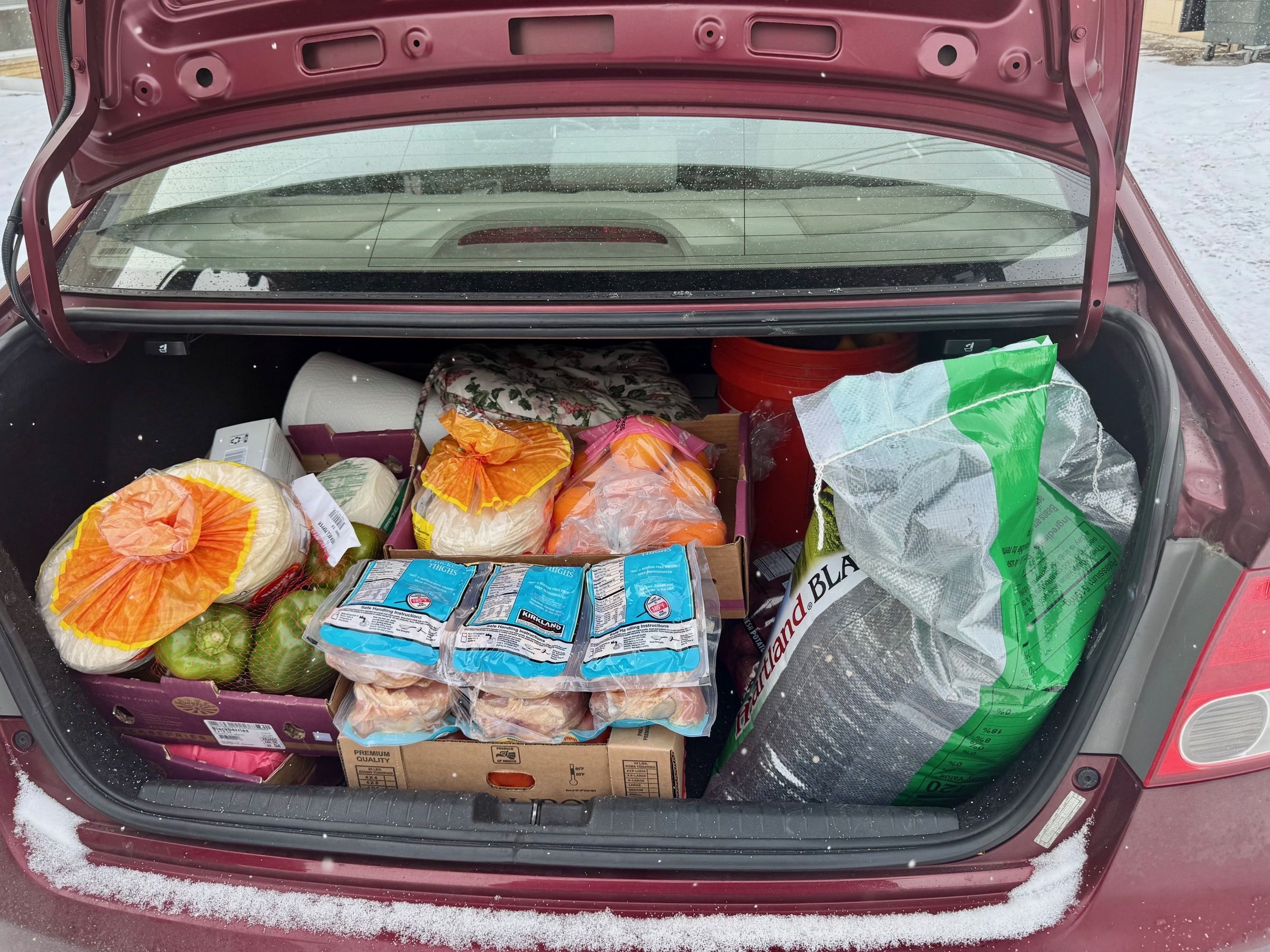 Temporary Grocery Delivery and Errand Support