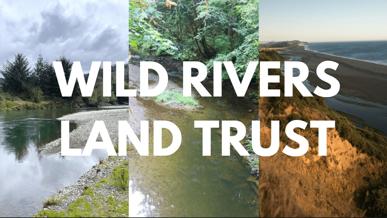 Wild Rivers Land Trust is celebrating Giving Tuesday by showcasing our projects over the past 25 years.