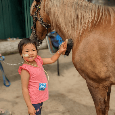 Meet Mia, Your August Butterfly Buddy!