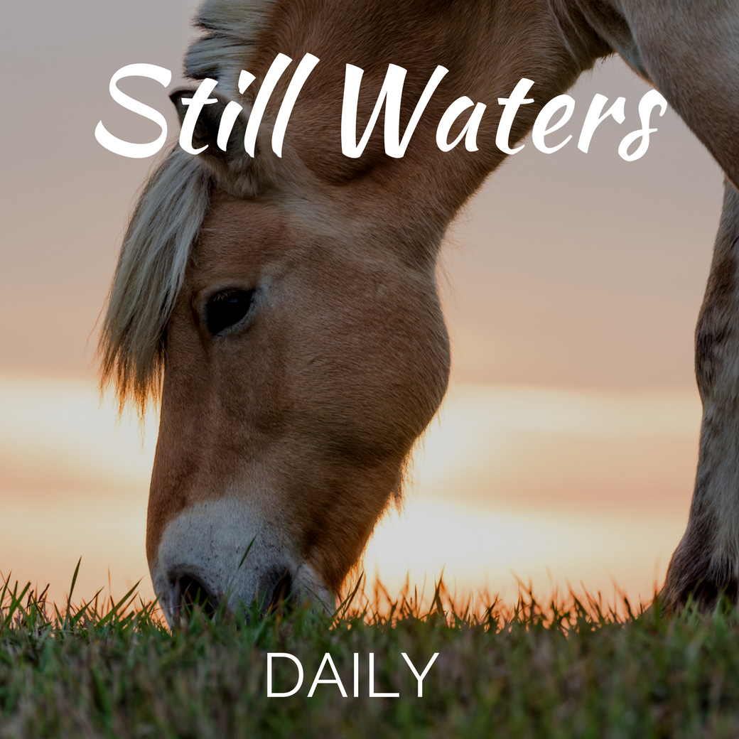 Still Waters Daily App for Android
