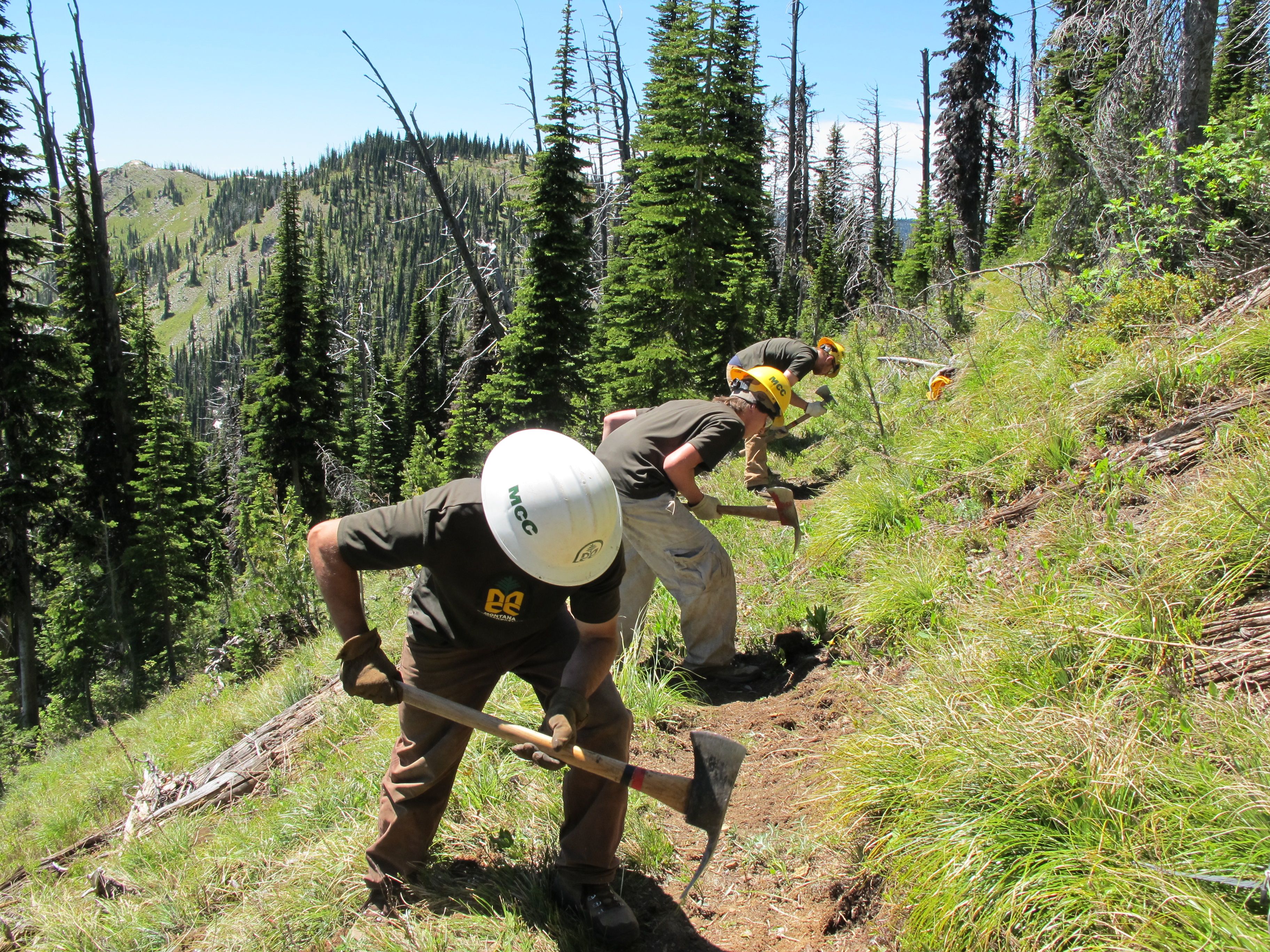 [Image Description: Three MCC members, working together on a trail on a sunny day. The members are in sync, using their trail tools in a coordinated effort to improve the trail.]
