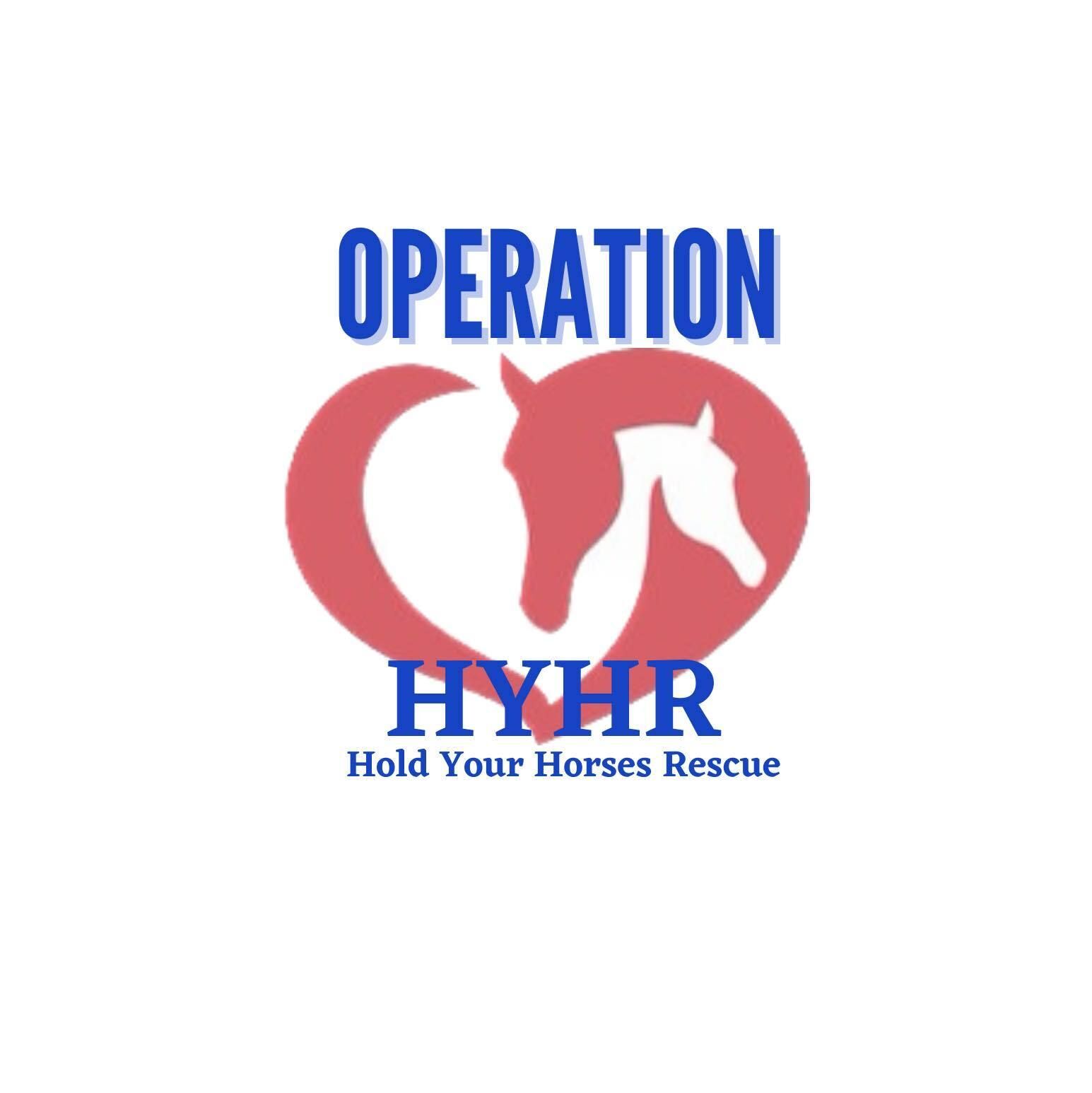 Operation Hold Your Horses