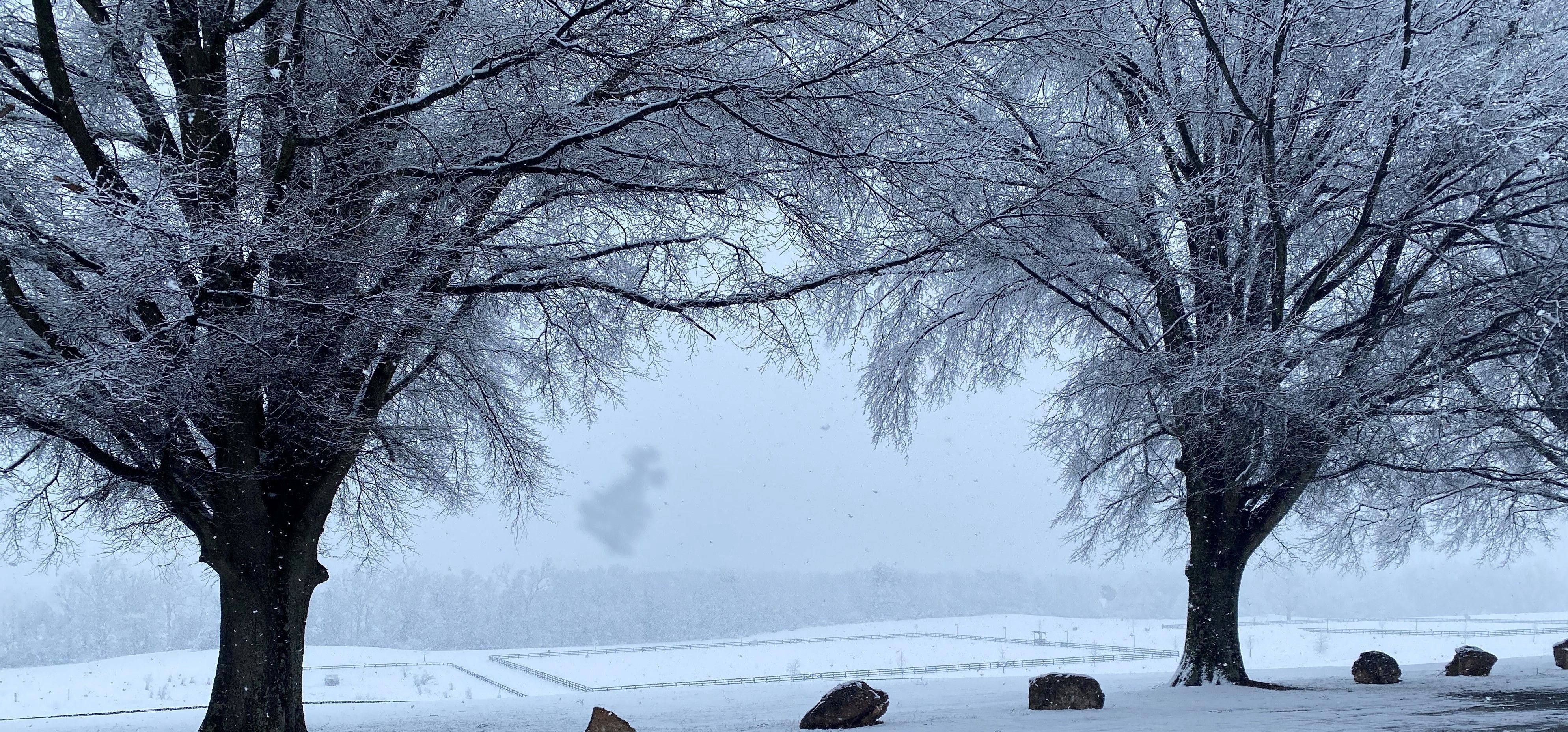 Park and Trails are CLOSED Sunday January 25