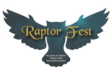 Raptor Fest