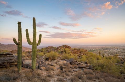 Picture of desert near Ahwatukee.