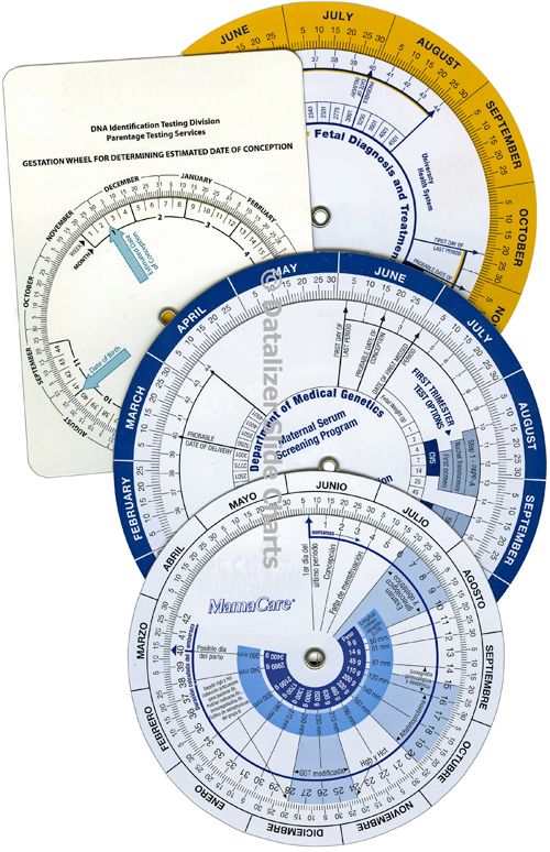 Pregnancy Due Date Calculator Wheel Charts