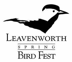 April 1st - Bird Fest News