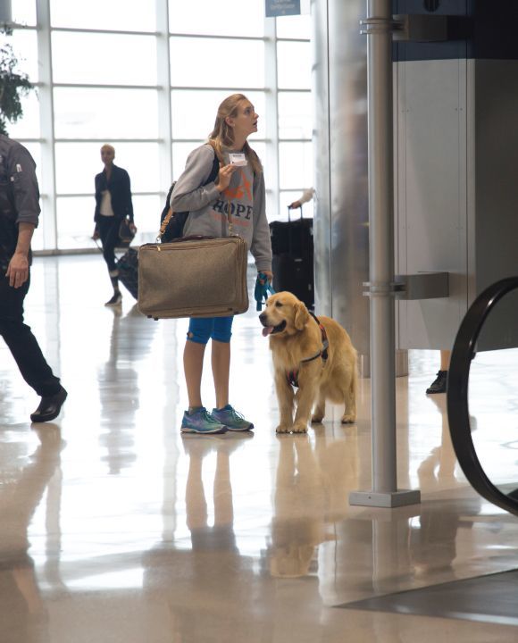 service dog at airport