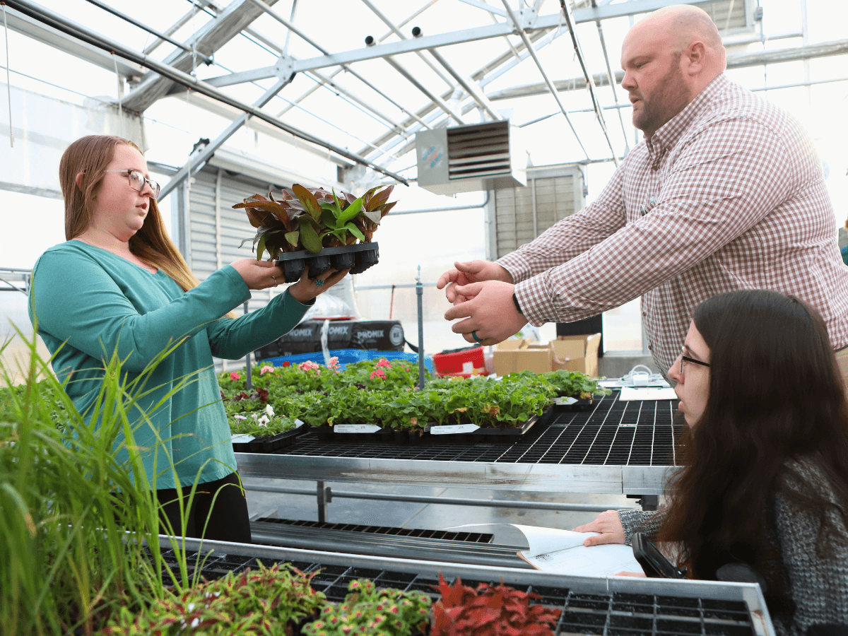 Beyond the Banners: Golden Owl Finalist Redefines Success in the Classroom