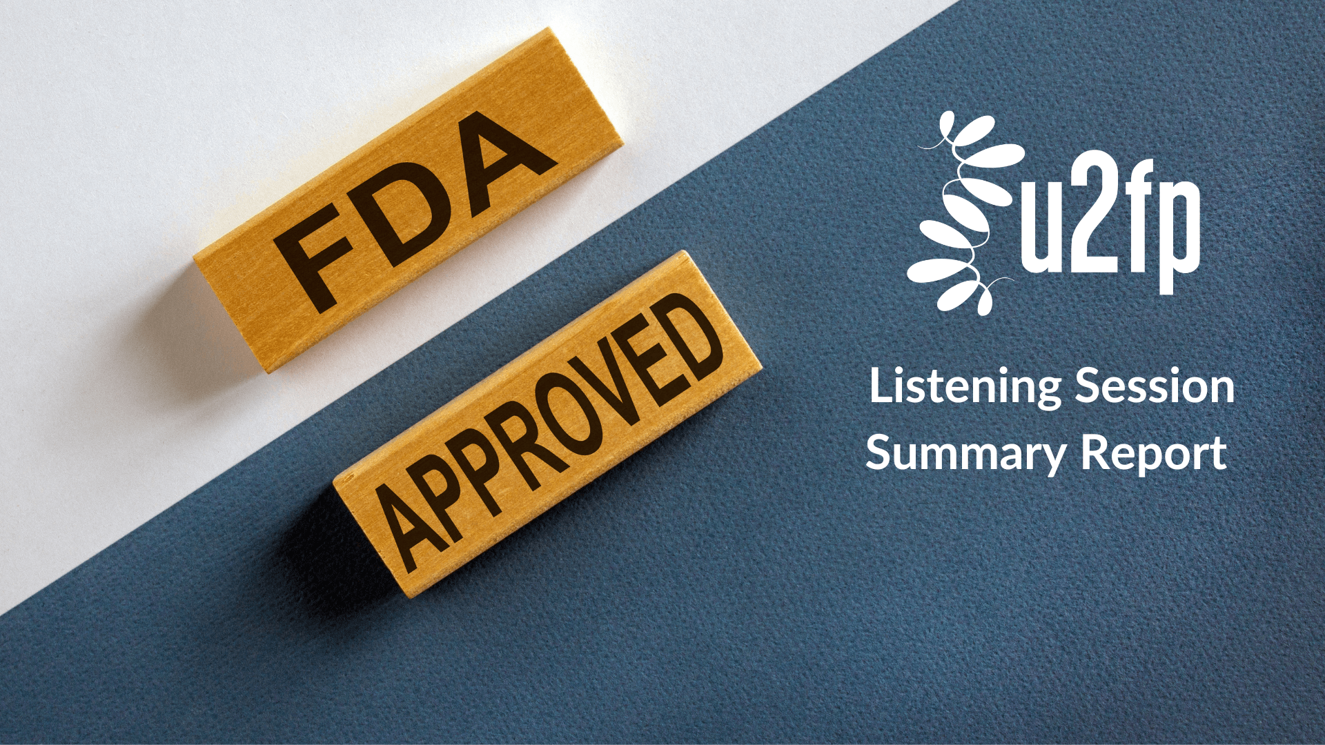 U2FP's Summary Report on our FDA Patient-led Listening Session (04/24/2023)