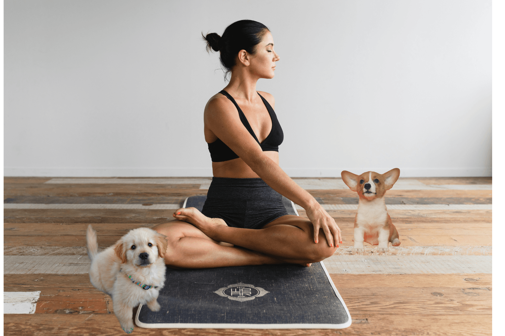 ZEN DOGI PUPPY YOGA