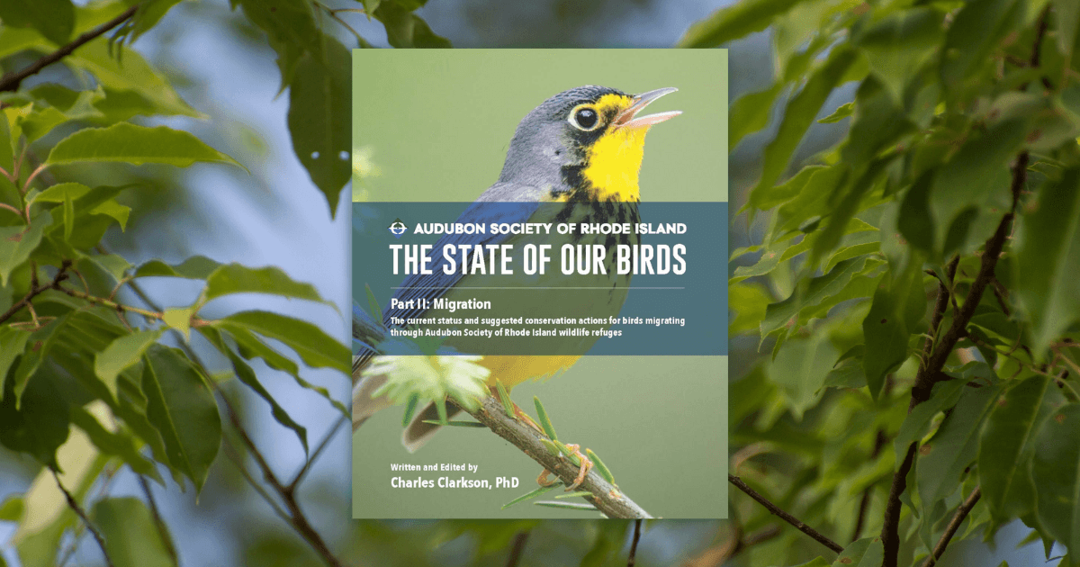 The State of Our Birds Report - Part II Now Available