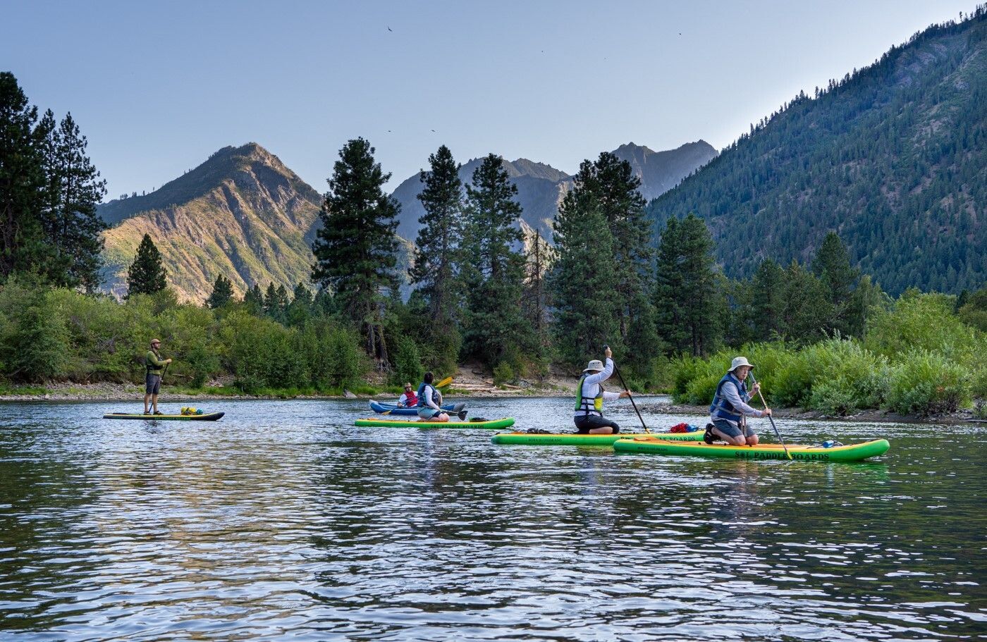 Paddleboarders float down a river. One stands, others kneel.