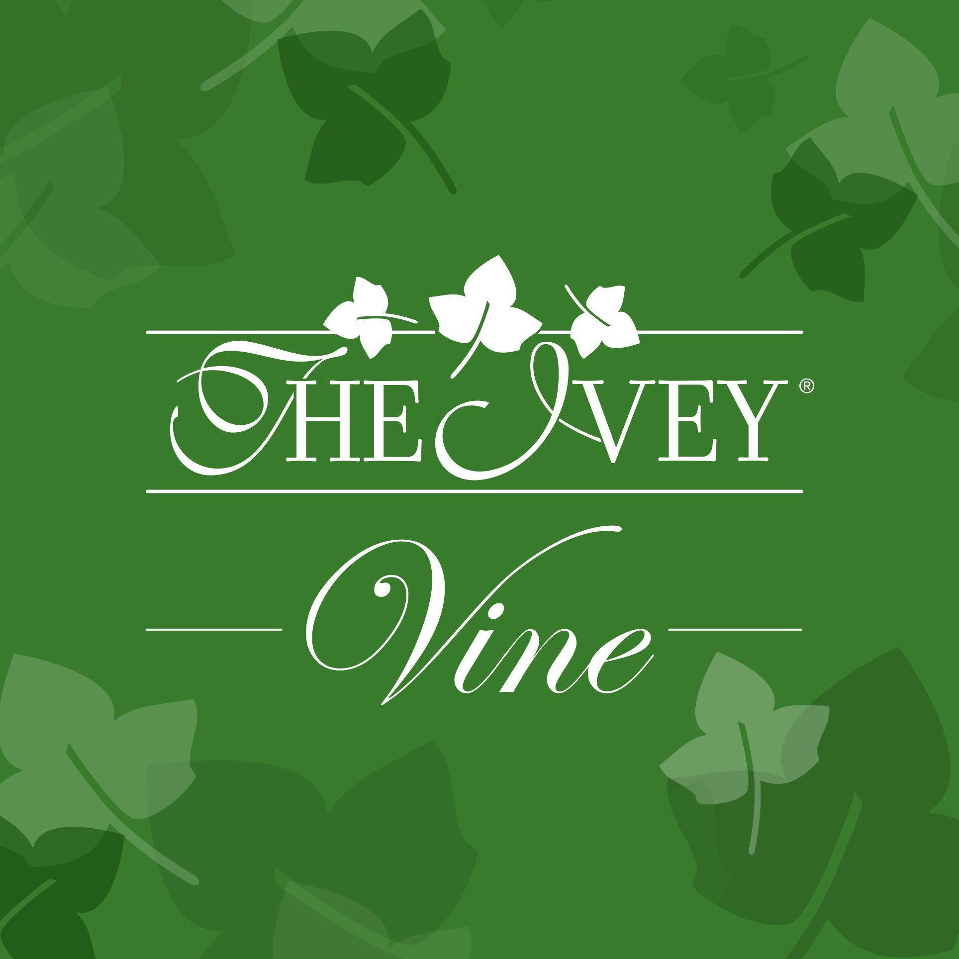 Introducing The Ivey Vine