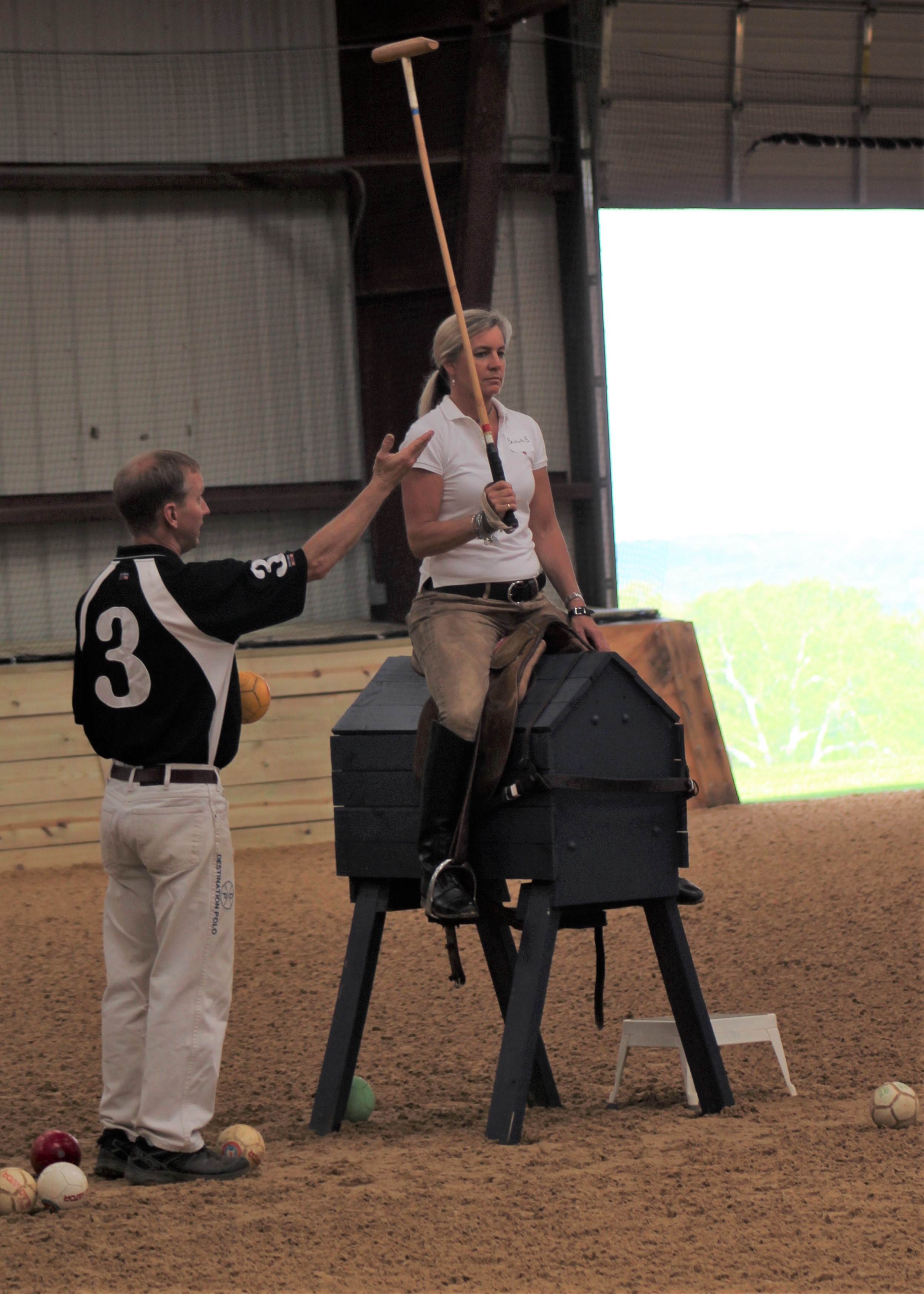 Polo Lessons with Destination Polo