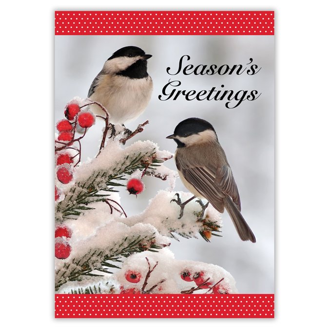 5 x 7 "Season's Greetings" Birds