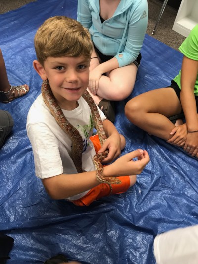 New Class Specializes in Hidden Discoveries
