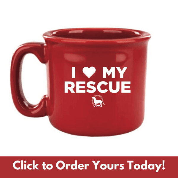 Real Men Rescue Dogs Mug