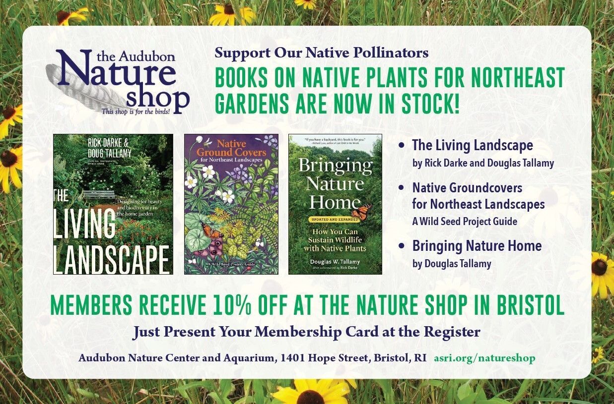 Support Our Native Pollinators Books on Native Plants for Northeast are now in stock!OCK!