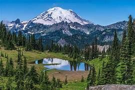 Judy's Leisure Tours