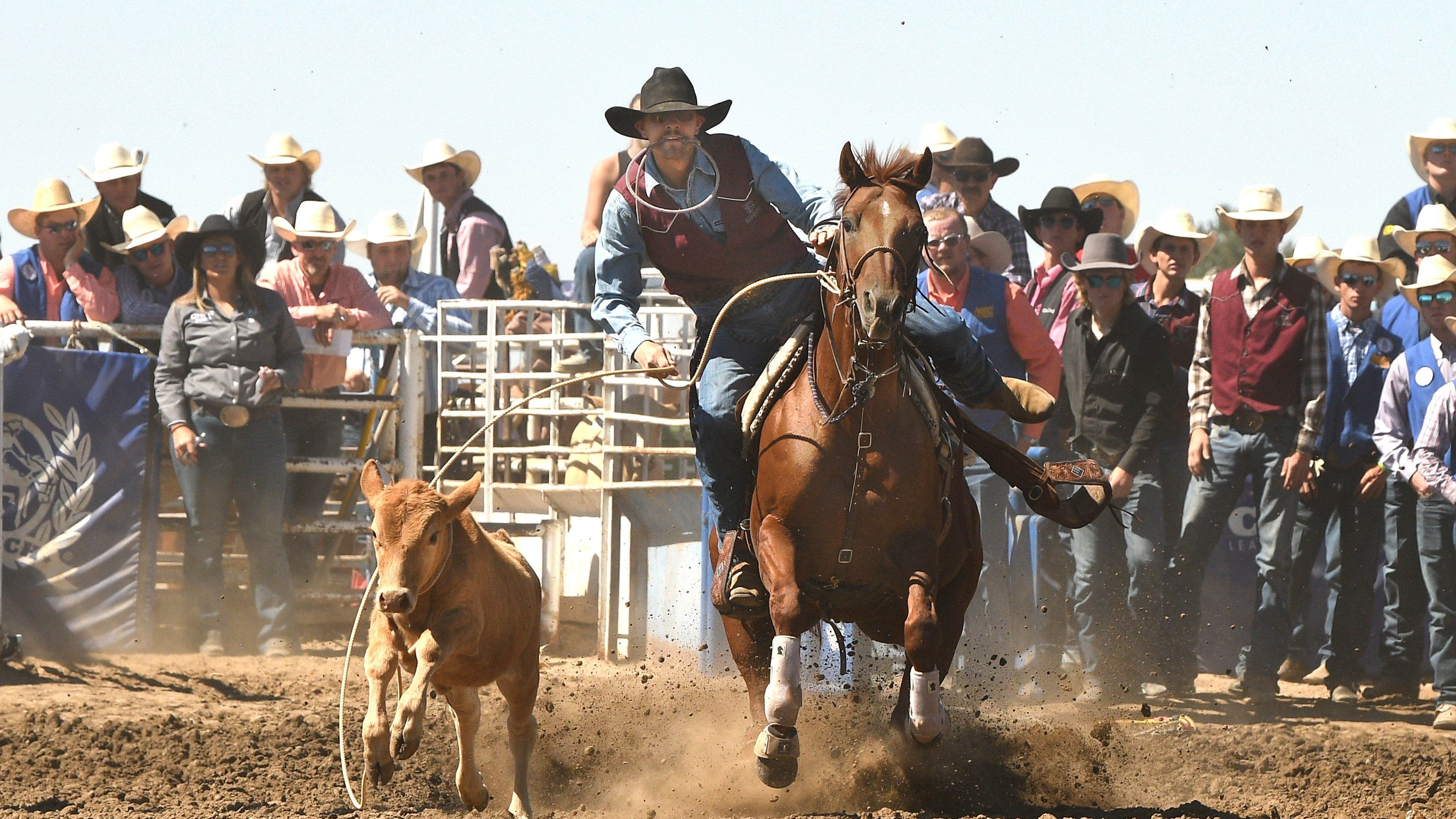 Rodeo roping