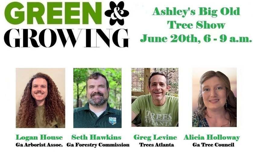Green & Growing - Ashley's Big Old Tree Show