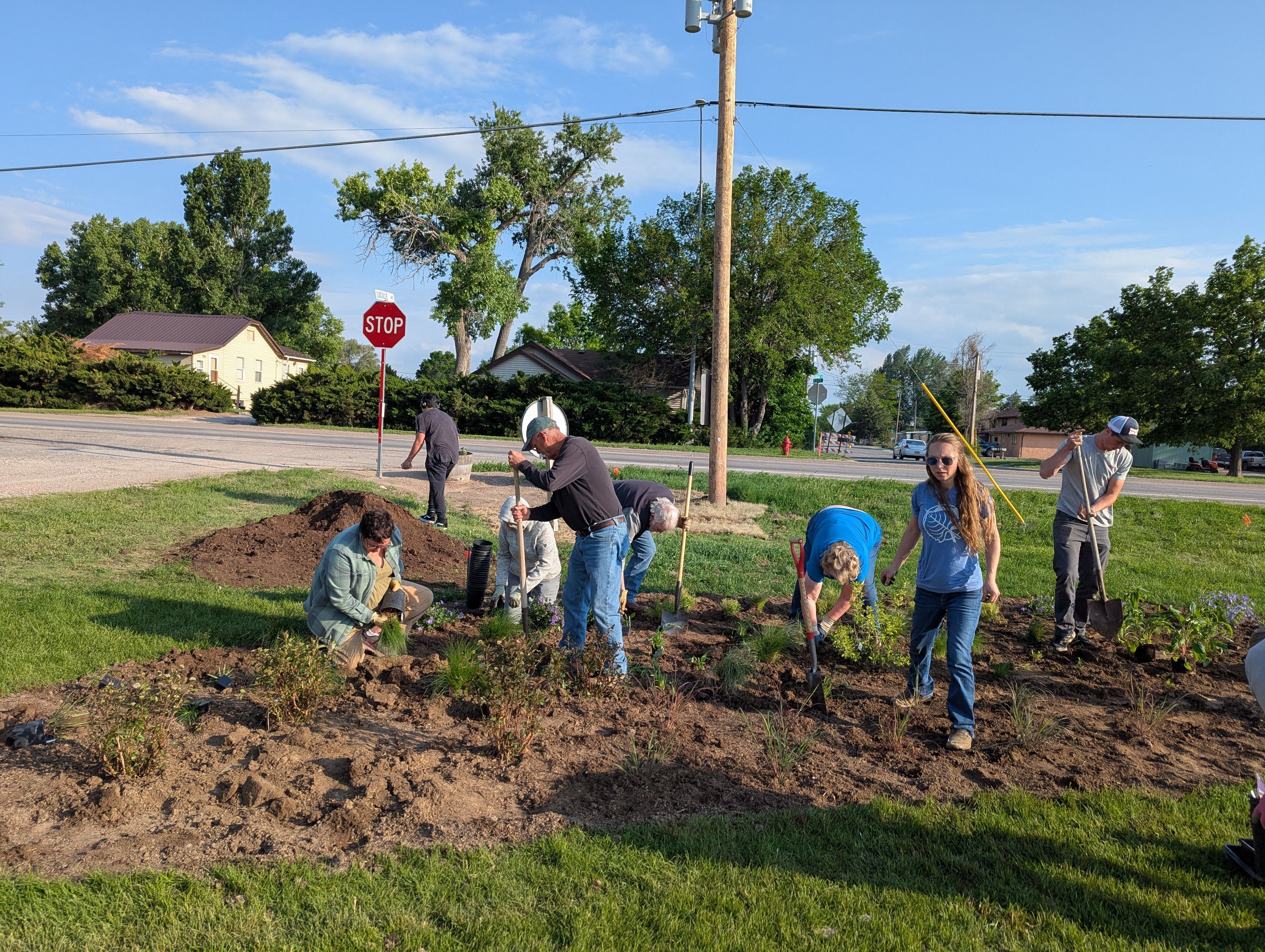 A group of people with gardening tools plant a pollinator garden. 