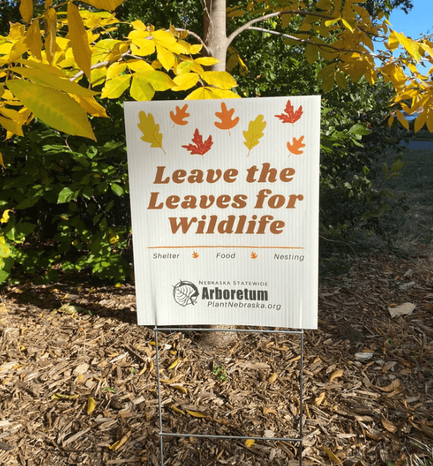 NSA sells a "Leave the Leaves for Wildlife" sign in its online store that you can post in your yard. 