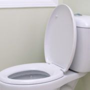 Low Flow Toilet