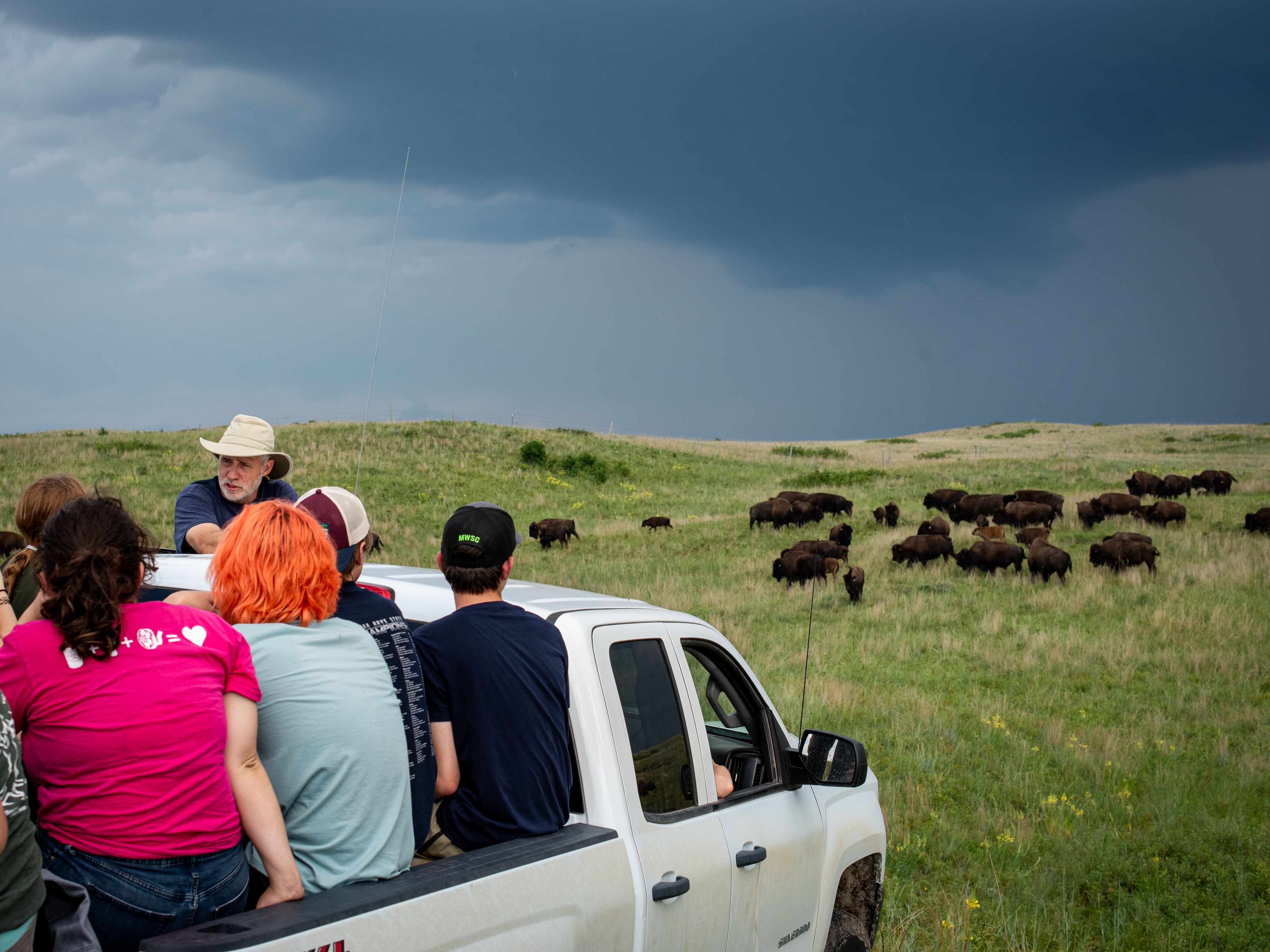 Youth Education Nature Bison Science