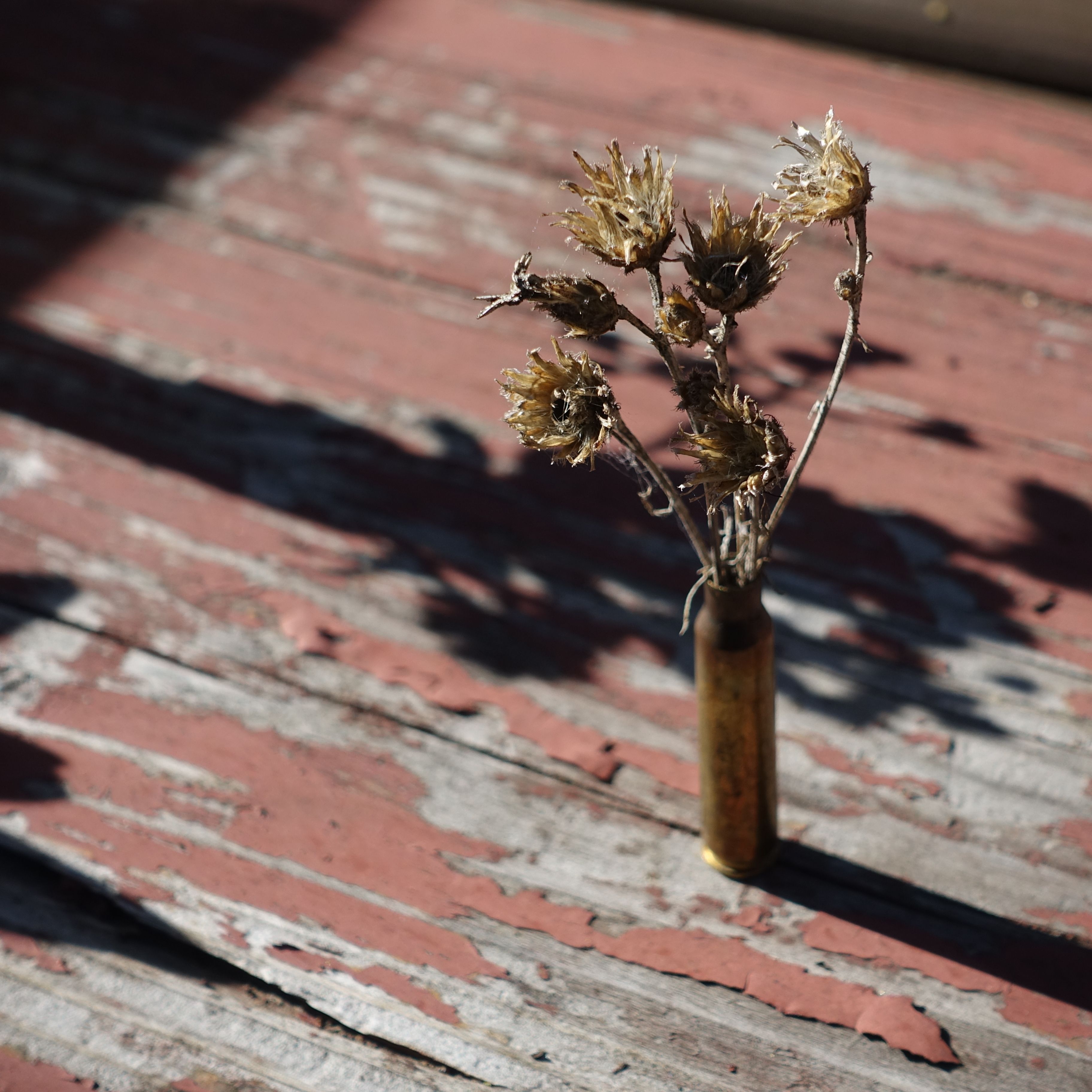 A bullet casing with some dried flowers, standing upright on a picnic table.