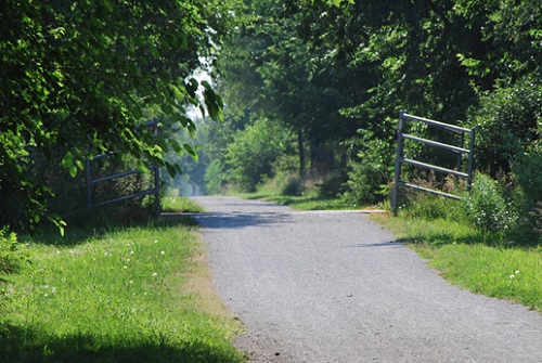 David Murbosck Trail