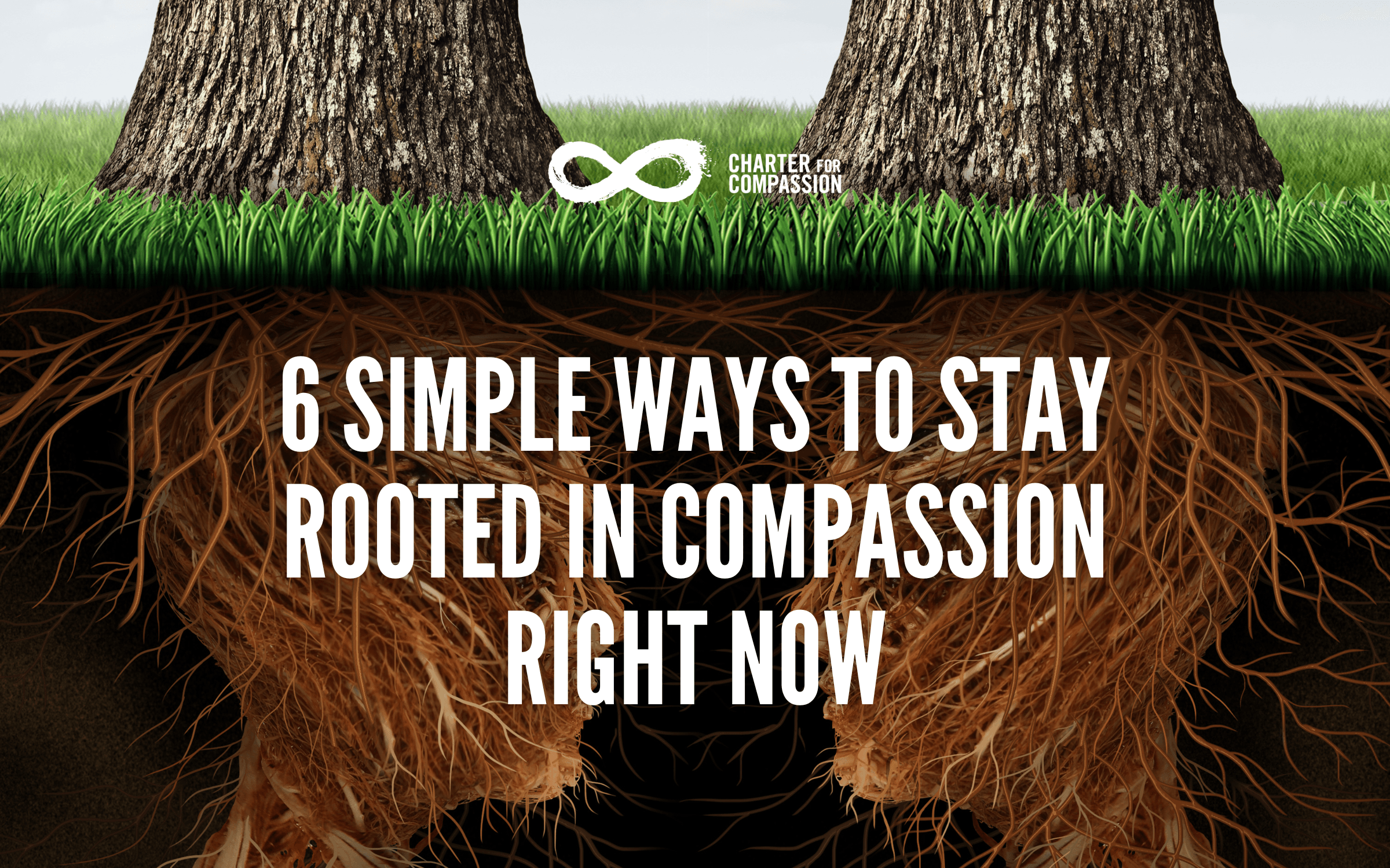 6 Simple Ways to Stay Rooted in Compassion Right Now