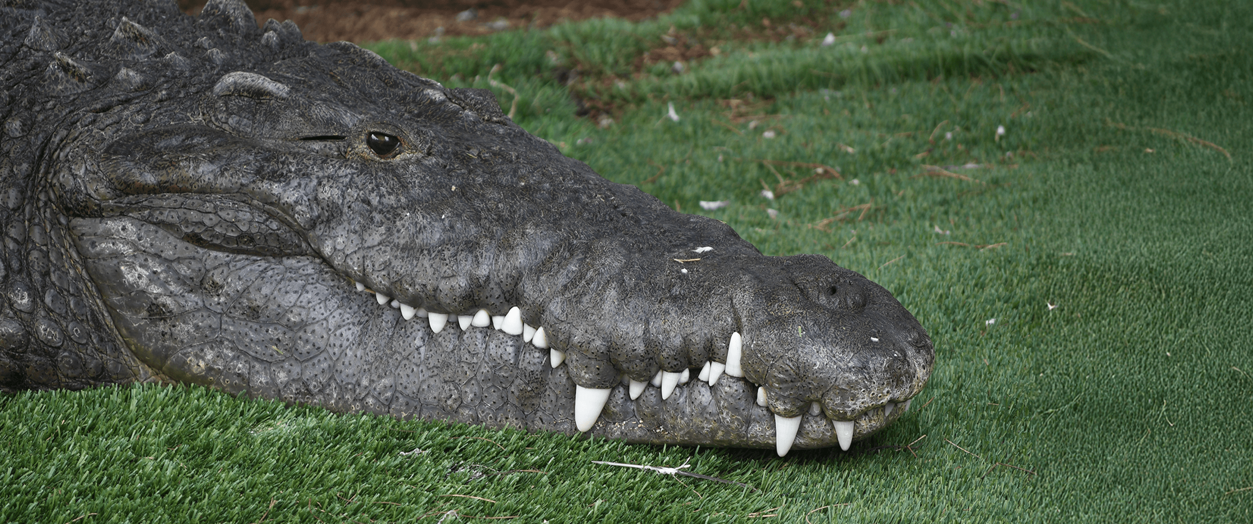 New Video on YouTube