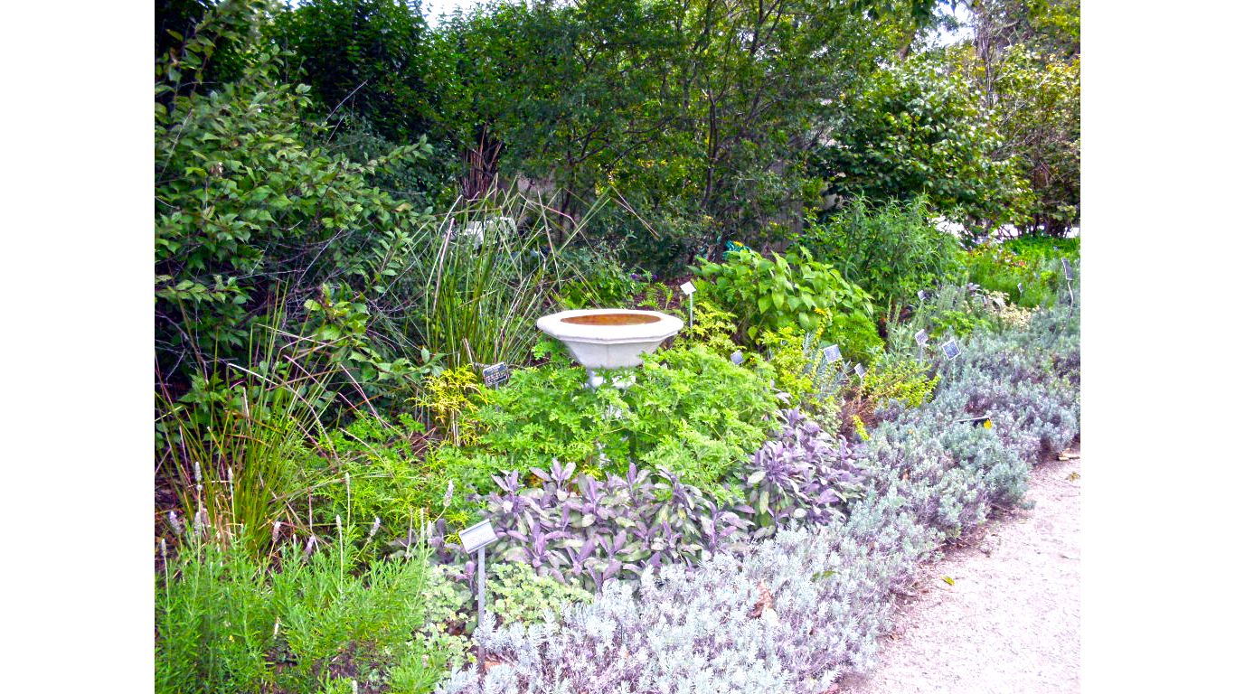 Wisconsin Garden Birdbath