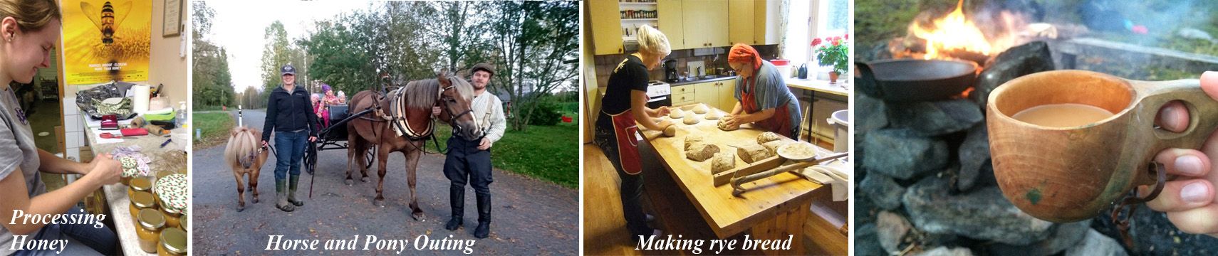 Processing honey, horses, baking and more in Finland