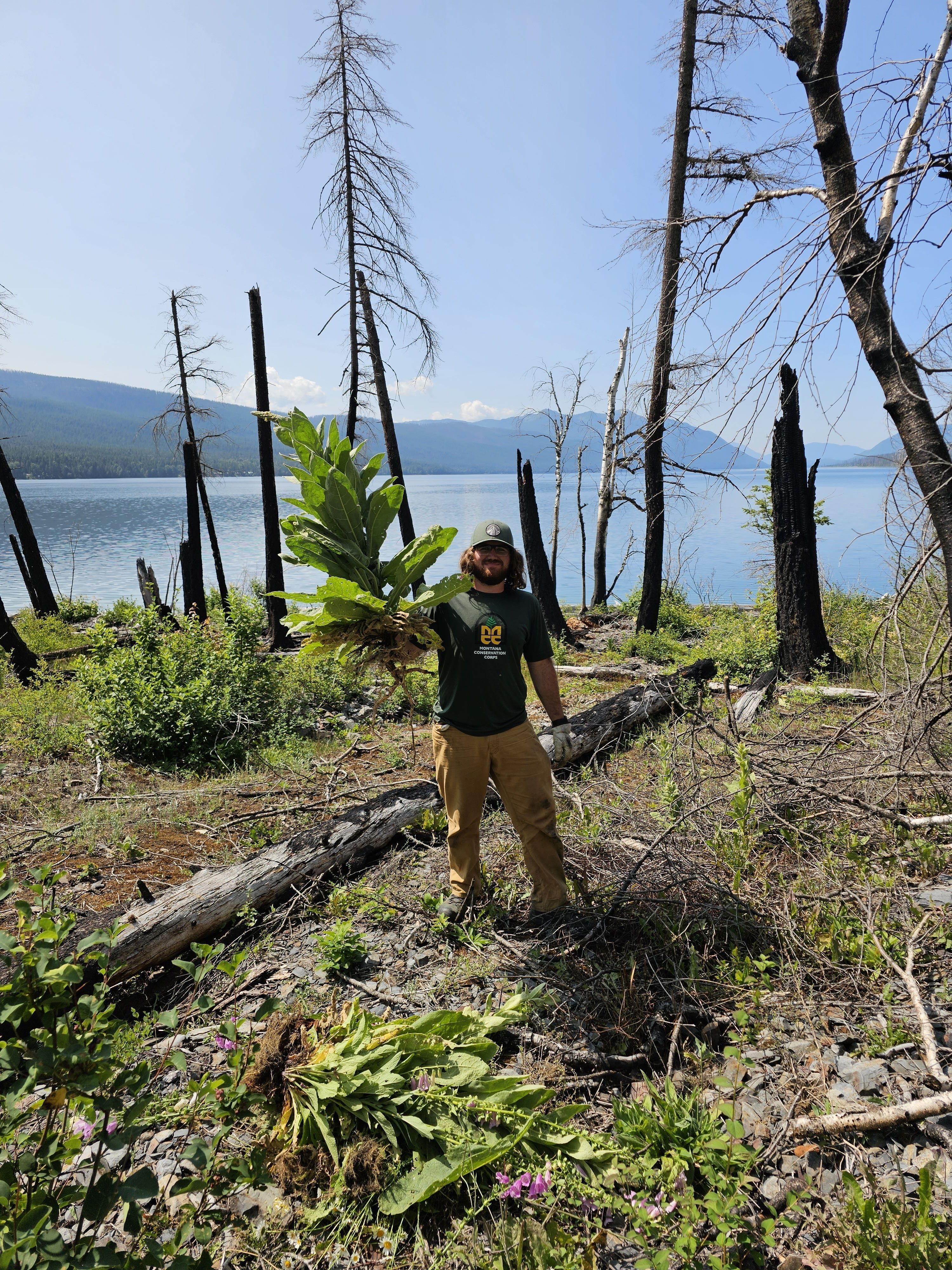 A crew member holds a massive weed on the shores of a lake.