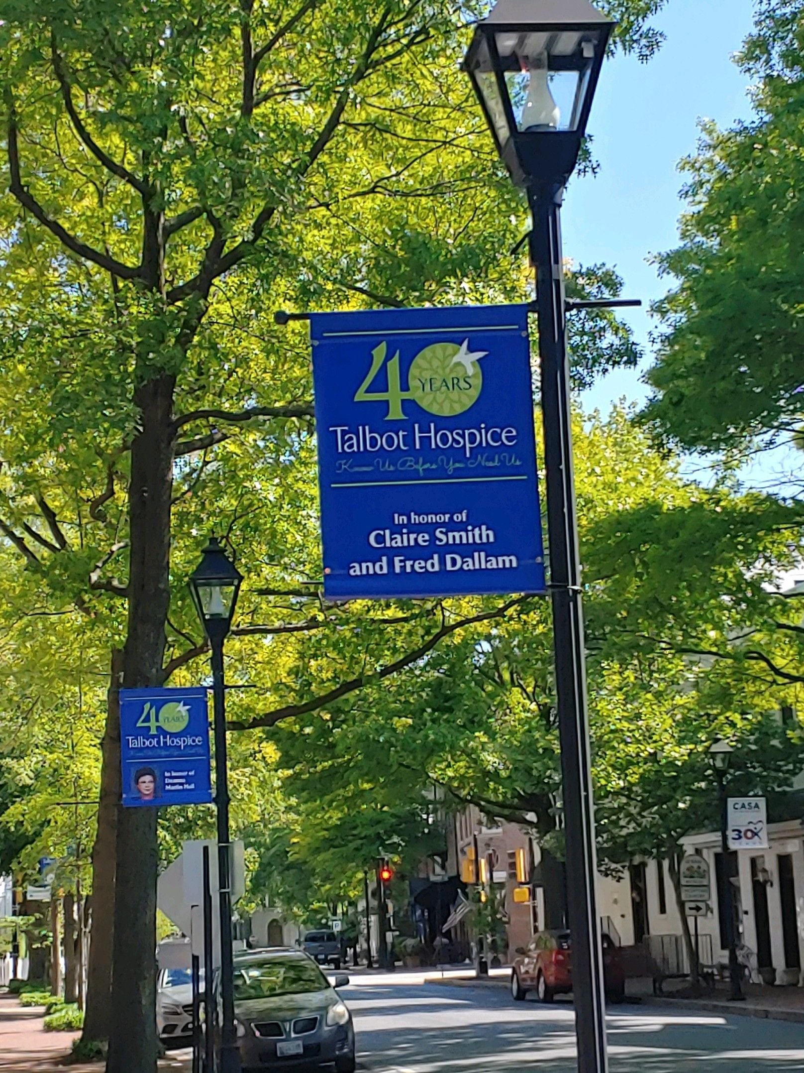 Talbot Hospice 40th Anniversary Banners