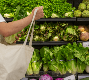 Waste Reduction & Recycling »