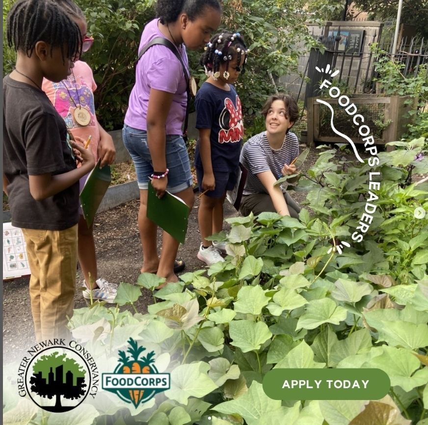 Apply to FoodCorps Today!