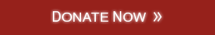 Donate Now Donate Now