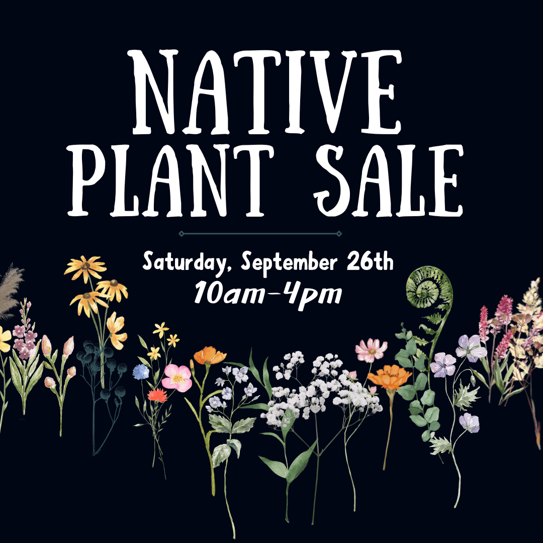 Native Plant Sale