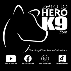 Zero to Hero K9