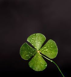 St. Patrick's Day