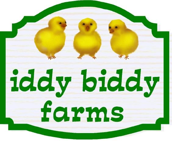 O24462 - Design of Sign for "Iddy Bitty Farms" with Baby Chicks