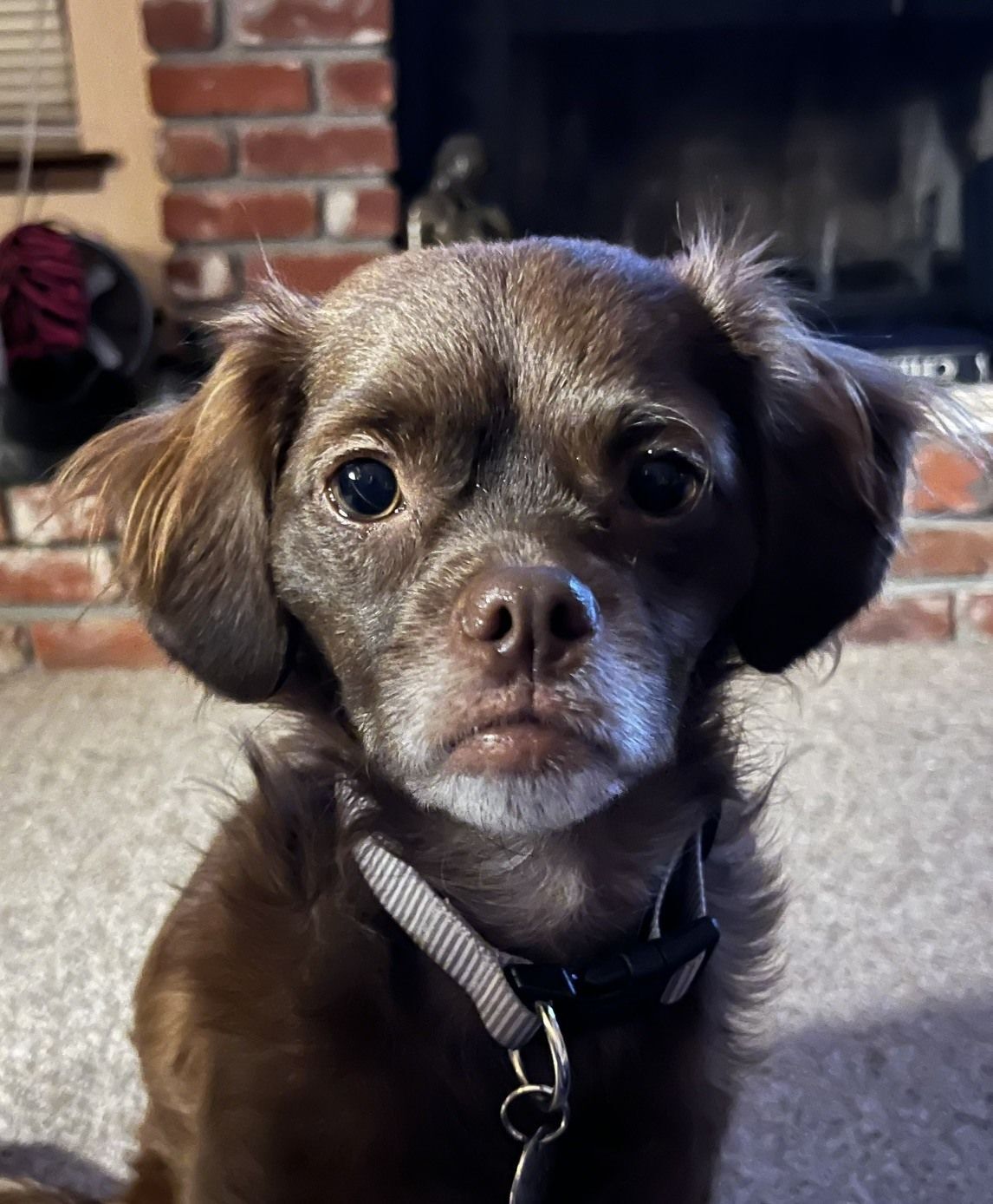 Poe