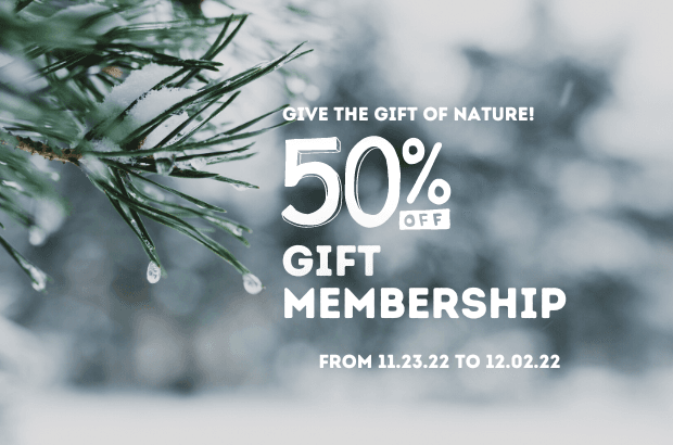 Give the gift of nature with an Audubon membership!