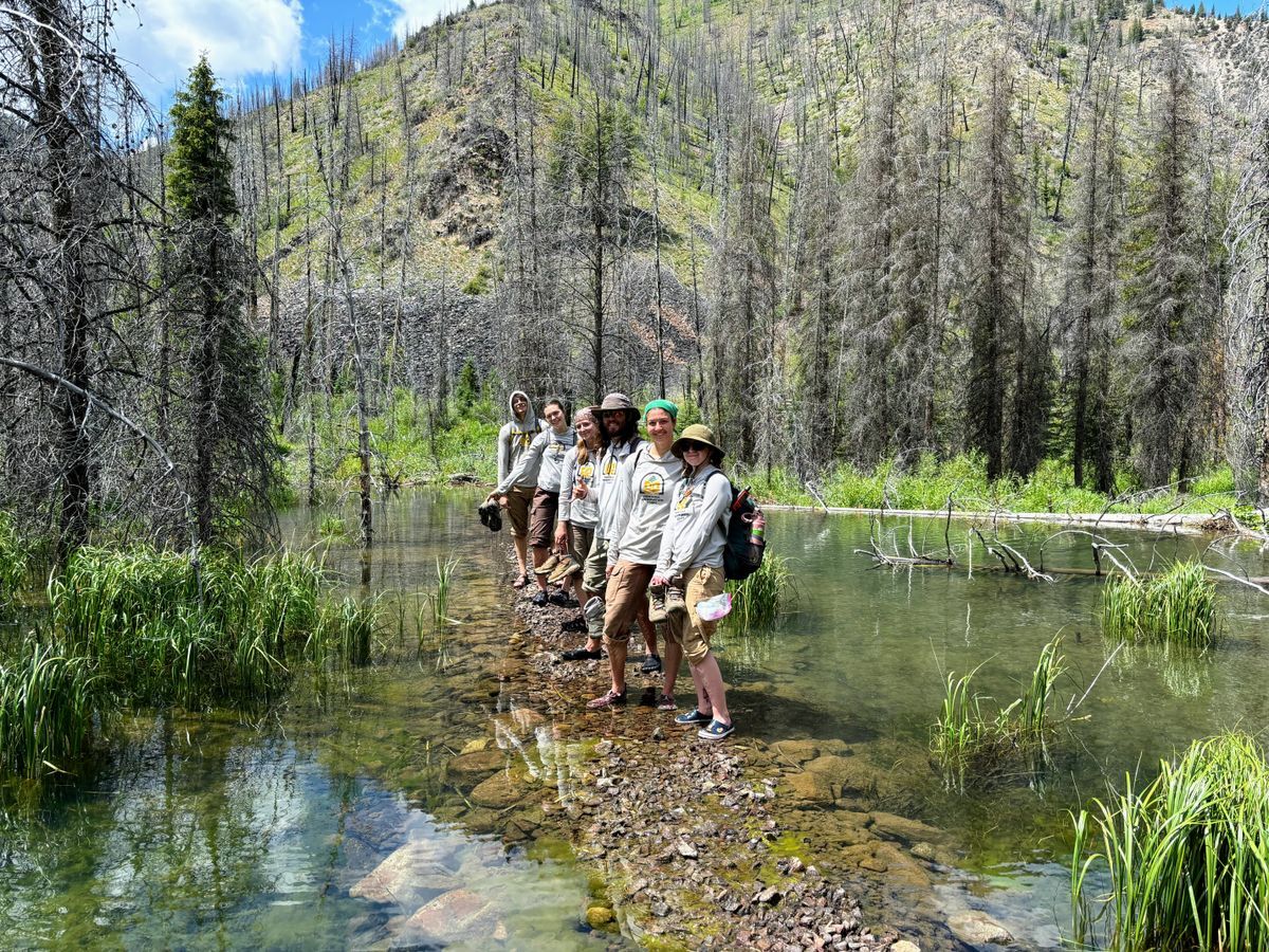 [Image Description: An MCC crew stands on a rockbar extending out into a stream.]