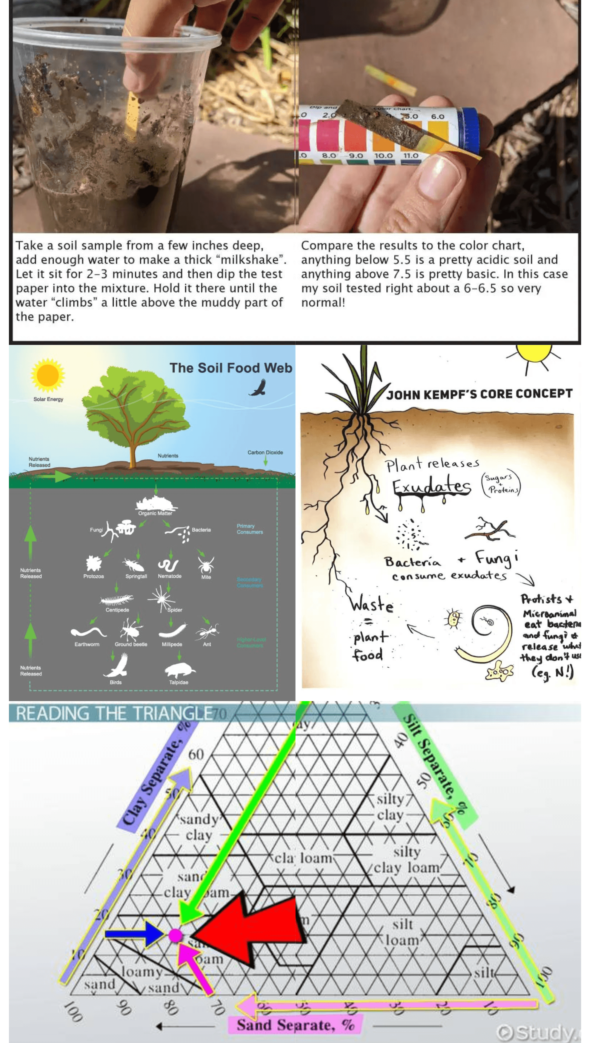Photos demonstrating how to test the pH of your soil with test strips and diagrams of the soil classification triangle, soil food web, and living root sugar/ protein contributions to the system.