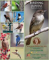 Download our Birding Brochure PDF